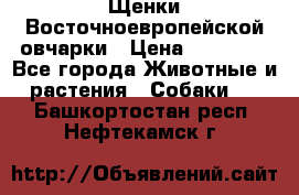 Щенки Восточноевропейской овчарки › Цена ­ 25 000 - Все города Животные и растения » Собаки   . Башкортостан респ.,Нефтекамск г.